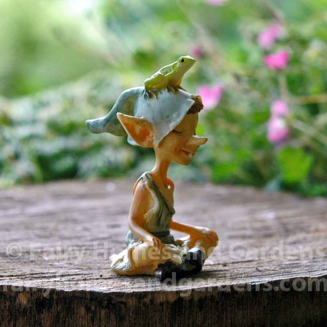 Pixie Meditating With Tiny Frog