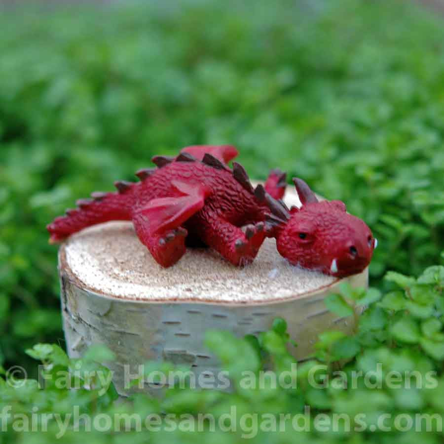 Miniature Red Dragon Snoozing