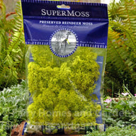 Preserved Reindeer Moss - Chartreuse
