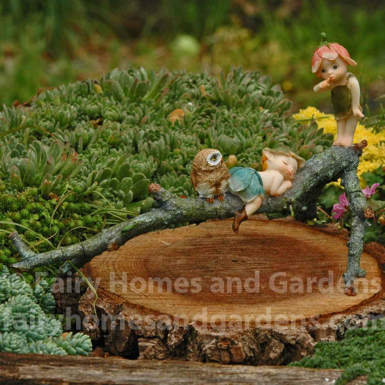 Two Pixies on a Branch with Owl