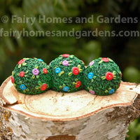 Miniature Flowering Shrubs