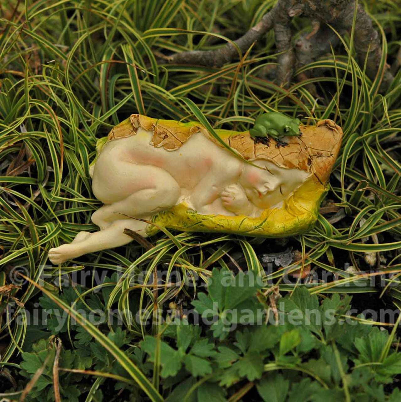 Fairy Baby with Little Frog