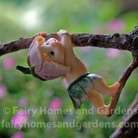 Close-up of Sprite Playing on Tree Branch