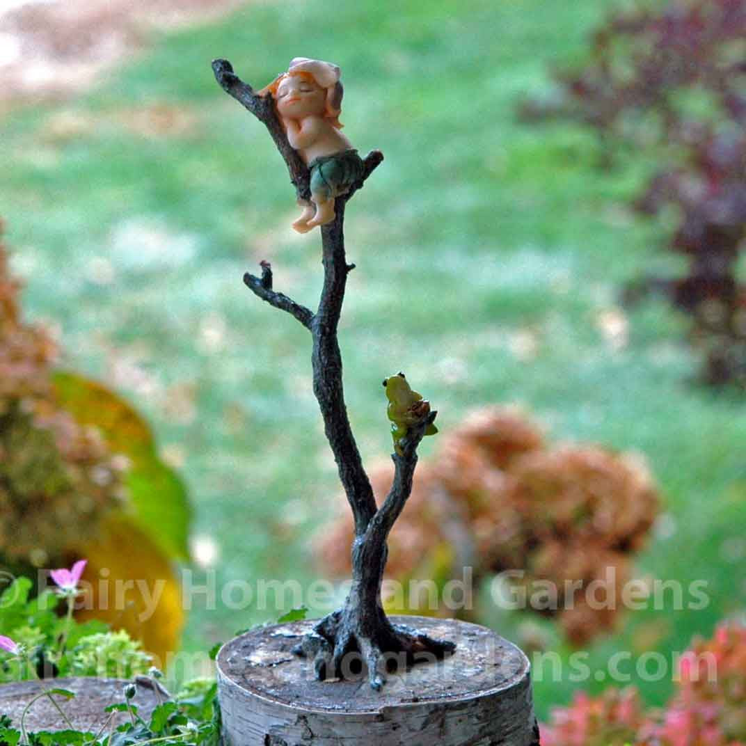 Garden Sprite Napping in a Branch