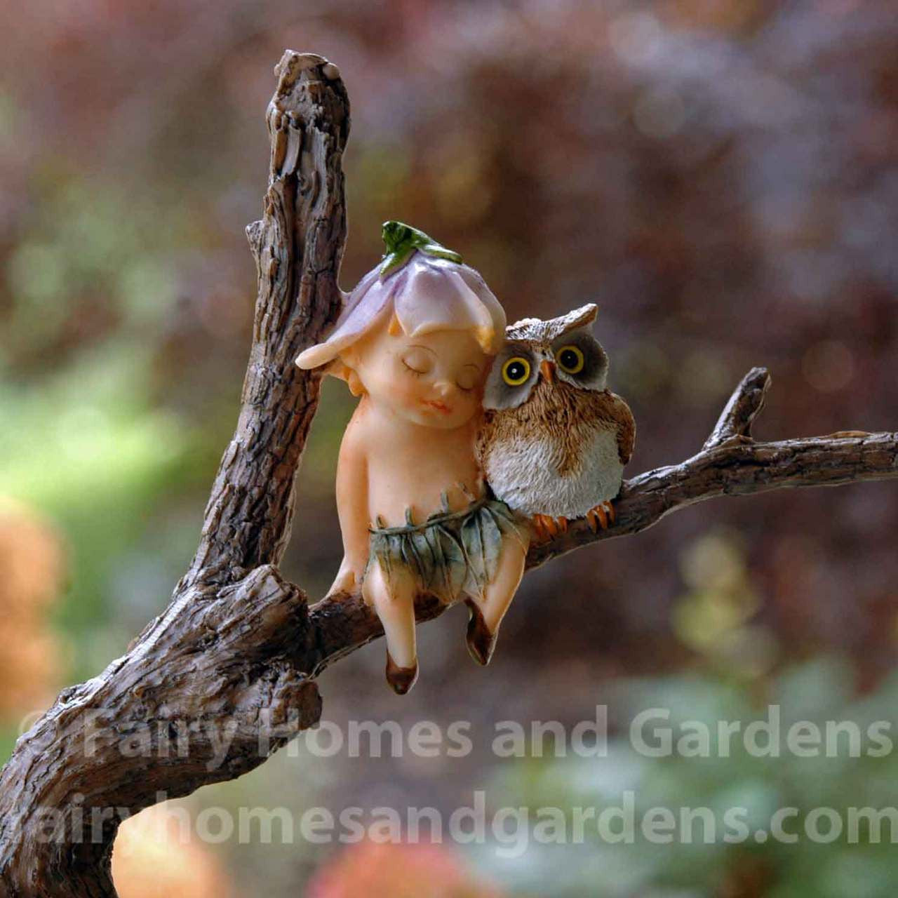 Miniature Garden Sprite Napping with Owl