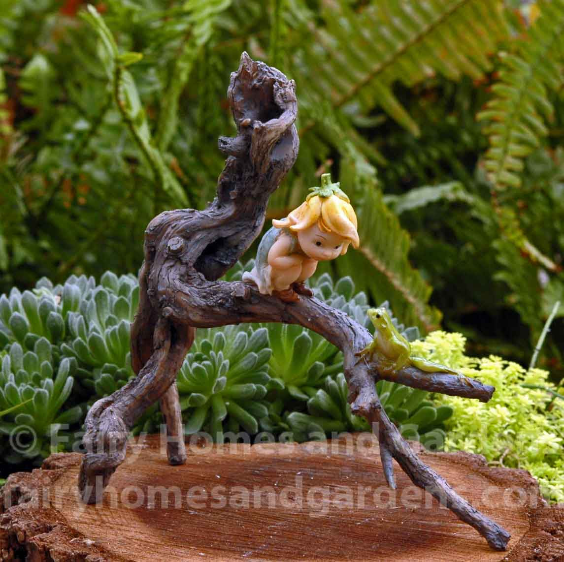 Miniature Garden Sprite with Tree Frog