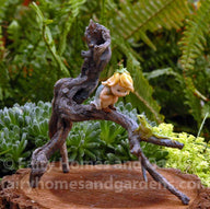 Miniature Garden Sprite with Tree Frog