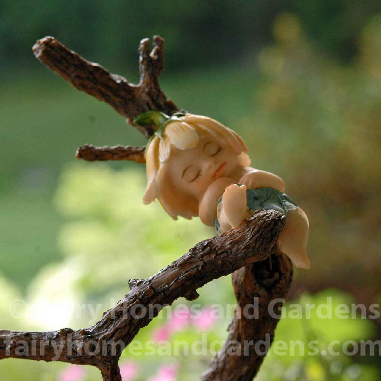 Close-up of Sprite on Tree Branch