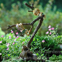 Sprites Playing on Tree Branch