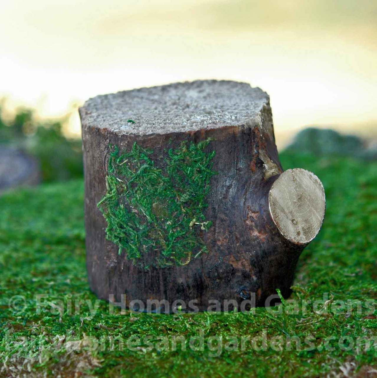 Tree Stump Displayer