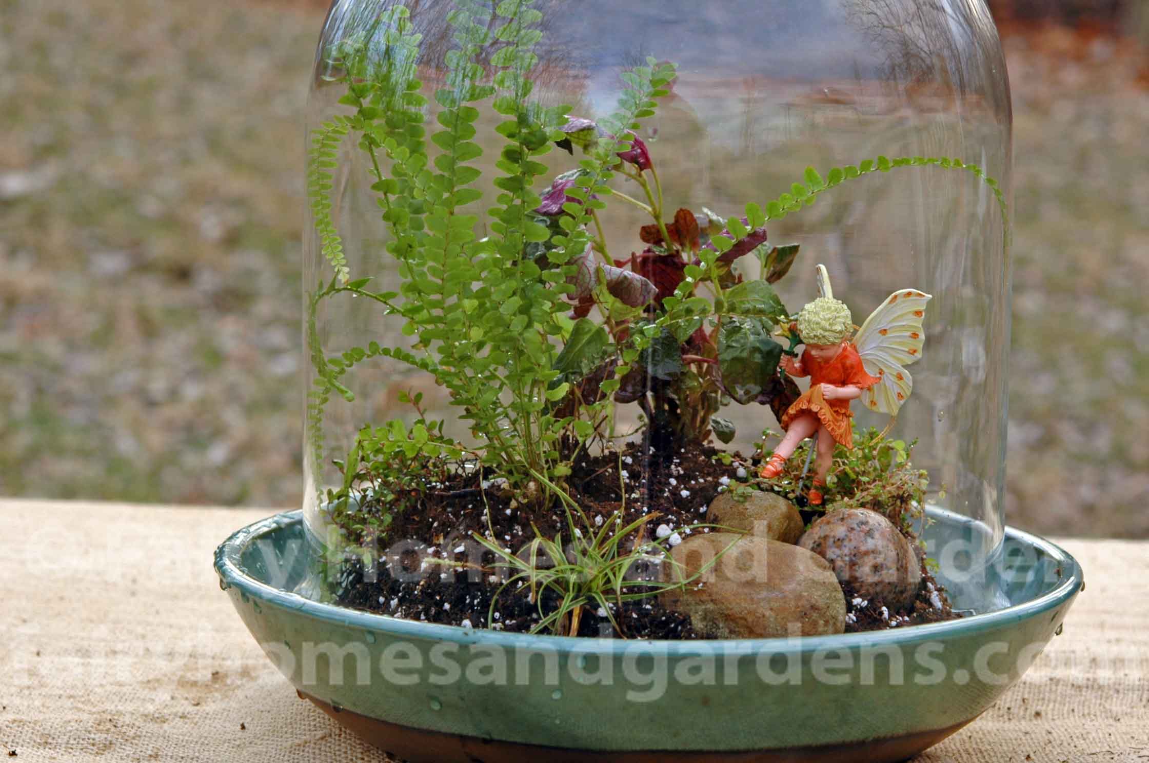 fairy-terrarium-in-glass-cloche.jpg