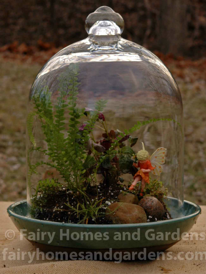 Fairy Terrarium in Glass Cloche 