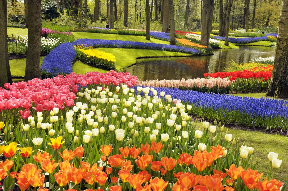 keukenhof gardens