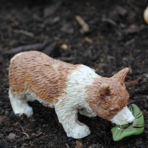 miniature corgi fairy garden