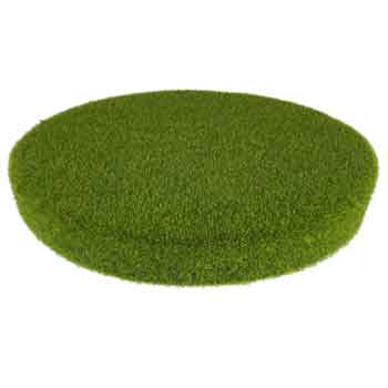 Round Fairy Moss Insert 