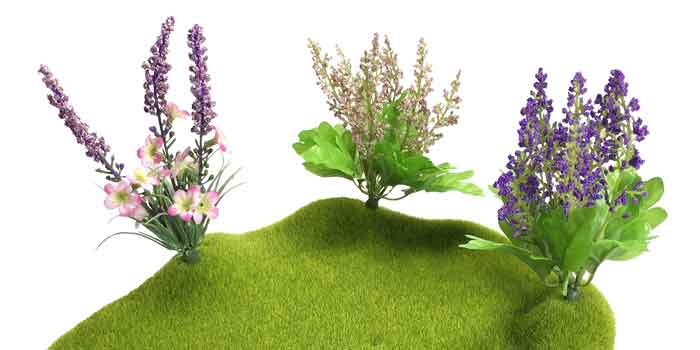 secret-garden-moss-landscape-shown-with-imaginary-flowers.jpg