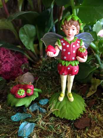 secret-garden-strawberry-flower-fairy-in-landscape-350-px-wide.jpg